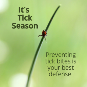 It&rsquo;s Tick Season